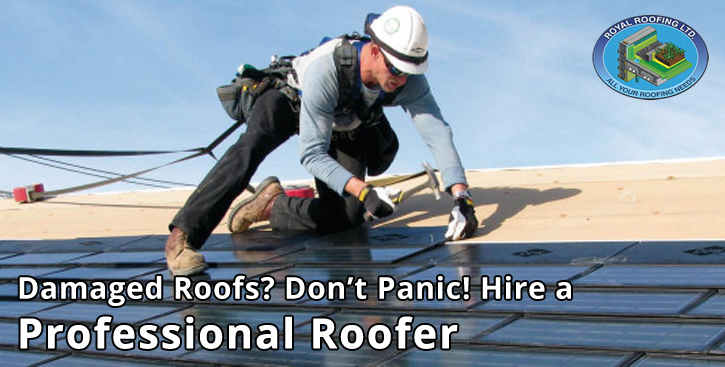 Commercial Roofing Contractor Calgary