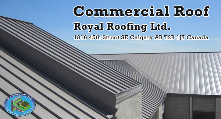 What to do when your Commercial or Industrial Roof is Damaged | Royal ...